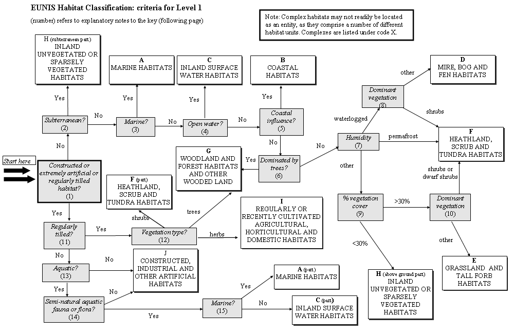 First level diagram of habitat types relation